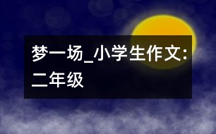 夢(mèng)一場(chǎng)_小學(xué)生作文:二年級(jí)