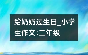 給奶奶過生日_小學(xué)生作文:二年級