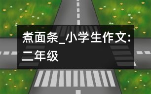 煮面條_小學(xué)生作文:二年級