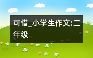 可惜_小學(xué)生作文:二年級(jí)