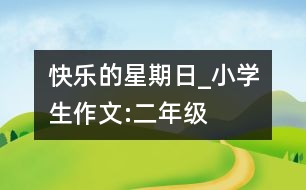 快樂的星期日_小學(xué)生作文:二年級