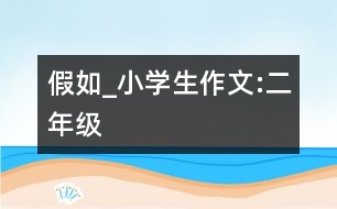 假如_小學(xué)生作文:二年級