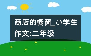 商店的櫥窗_小學(xué)生作文:二年級(jí)