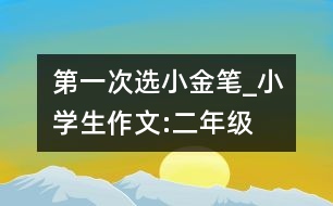 第一次選“小金筆”_小學(xué)生作文:二年級(jí)