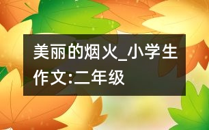 美麗的煙火_小學生作文:二年級