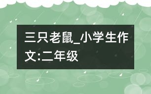 三只老鼠_小學(xué)生作文:二年級(jí)