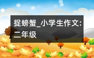 捉螃蟹_小學(xué)生作文:二年級(jí)