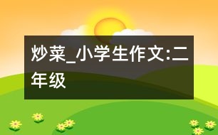 炒菜_小學(xué)生作文:二年級