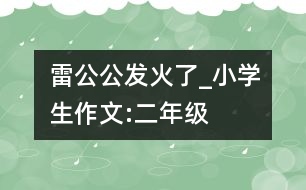 雷公公發(fā)火了_小學生作文:二年級