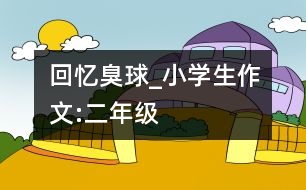 回憶臭球_小學(xué)生作文:二年級(jí)