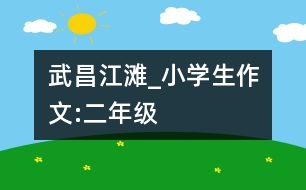 武昌江灘_小學(xué)生作文:二年級(jí)