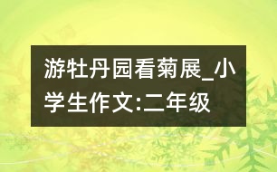 游牡丹園看菊展_小學(xué)生作文:二年級(jí)