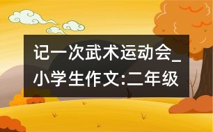 記一次武術運動會_小學生作文:二年級