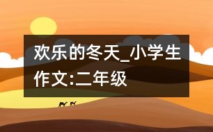 歡樂的冬天_小學(xué)生作文:二年級