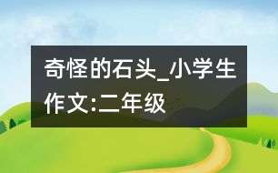 奇怪的石頭_小學(xué)生作文:二年級