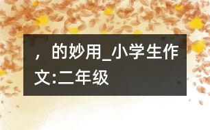 “，”的妙用_小學(xué)生作文:二年級