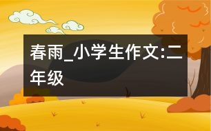 春雨_小學(xué)生作文:二年級