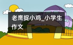 老鷹捉小雞_小學生作文