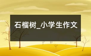 石榴樹_小學生作文