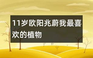 11歲歐陽兆蔚：我最喜歡的植物