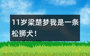 11歲梁楚夢：我是一條松獅犬！