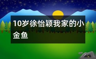 10歲徐怡穎：我家的小金魚(yú)