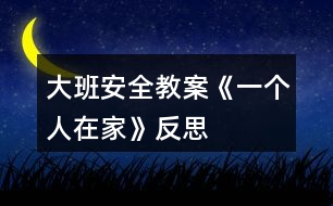 大班安全教案《一個人在家》反思