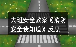 大班安全教案《消防安全我知道》反思