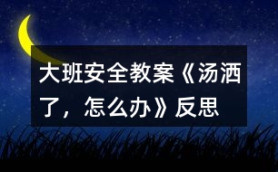 大班安全教案《湯灑了，怎么辦》反思