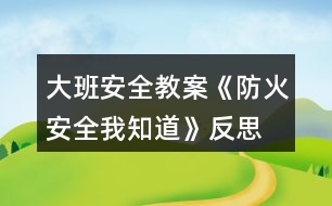 大班安全教案《防火安全我知道》反思