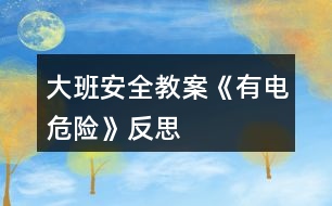 大班安全教案《有電危險》反思