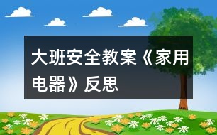 大班安全教案《家用電器》反思