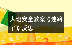 大班安全教案《迷路了》反思