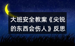 大班安全教案《尖銳的東西會傷人》反思