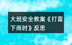 大班安全教案《打雷下雨時》反思