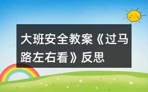 大班安全教案《過馬路左右看》反思