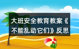 大班安全教育教案《不能亂動(dòng)它們》反思