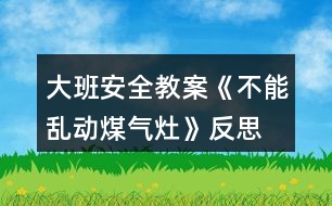 大班安全教案《不能亂動(dòng)煤氣灶》反思