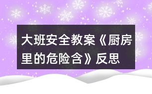 大班安全教案《廚房里的危險含》反思