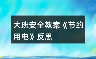 大班安全教案《節(jié)約用電》反思