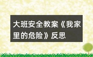 大班安全教案《我家里的危險》反思