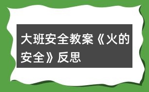 大班安全教案《火的安全》反思