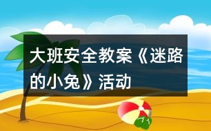 大班安全教案《迷路的小兔》活動