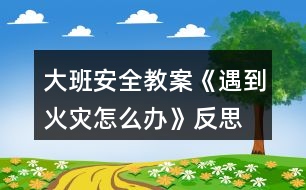 大班安全教案《遇到火災怎么辦》反思