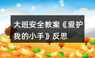 大班安全教案《愛(ài)護(hù)我的小手》反思