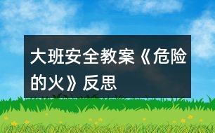 大班安全教案《危險的火》反思