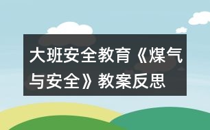 大班安全教育《煤氣與安全》教案反思