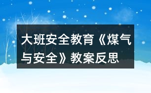 大班安全教育《煤氣與安全》教案反思