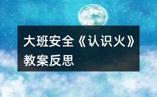 大班安全《認(rèn)識火》教案反思