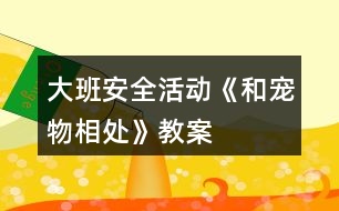 大班安全活動《和寵物相處》教案